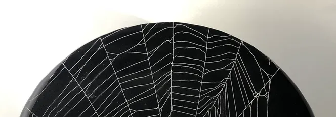 Cellar Sheet No. 02 — orb-weaver sheet, taken intact, cast in clear resin against a black ground.